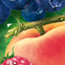 Frugter - Fruits